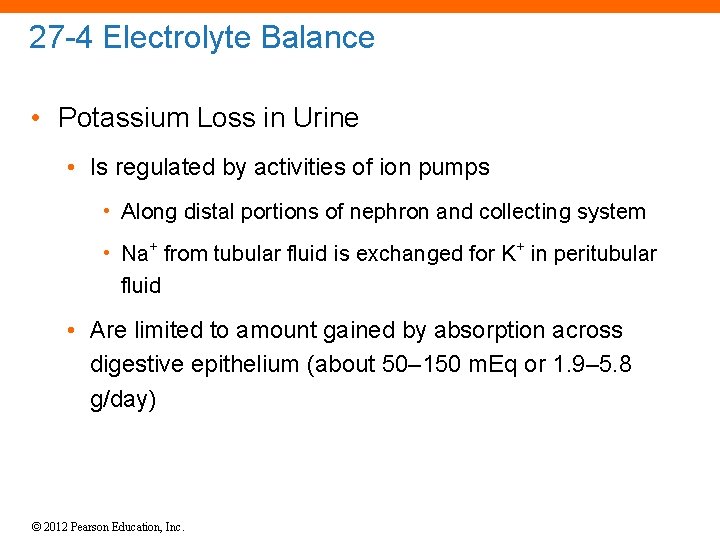 27 -4 Electrolyte Balance • Potassium Loss in Urine • Is regulated by activities