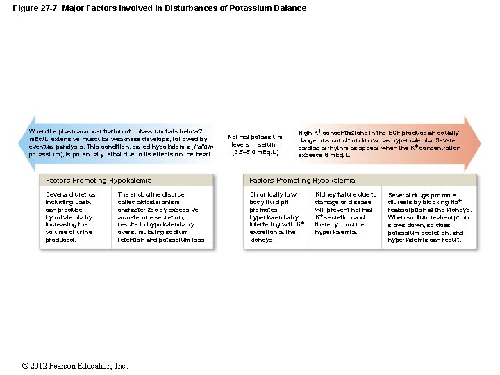 Figure 27 -7 Major Factors Involved in Disturbances of Potassium Balance When the plasma