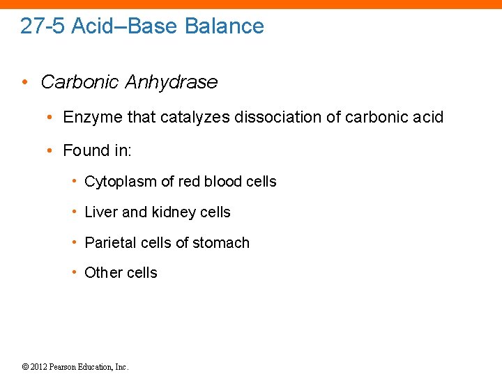 27 -5 Acid–Base Balance • Carbonic Anhydrase • Enzyme that catalyzes dissociation of carbonic