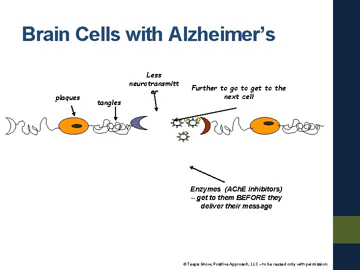 Brain Cells with Alzheimer’s plaques Less neurotransmitt er tangles Further to go to get