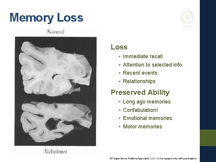 Memory Loss • • Immediate recall Attention to selected info Recent events Relationships Preserved