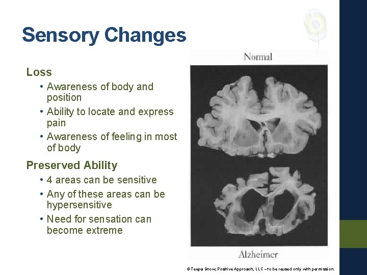 Sensory Changes Loss • Awareness of body and position • Ability to locate and