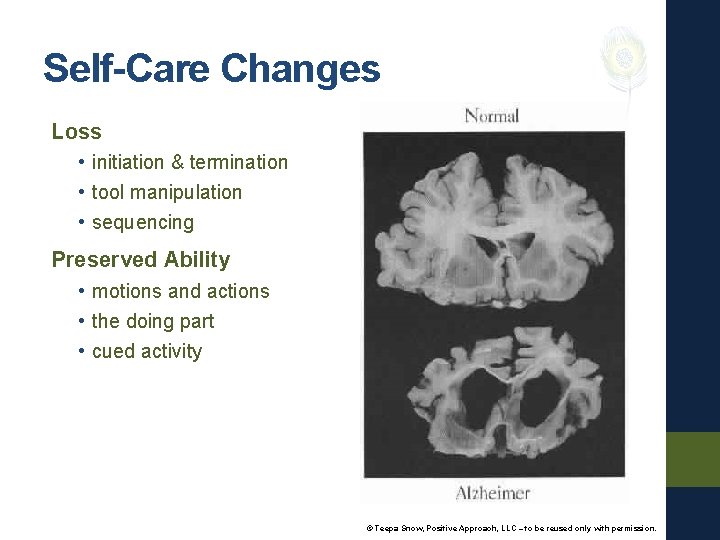 Self-Care Changes Loss • initiation & termination • tool manipulation • sequencing Preserved Ability