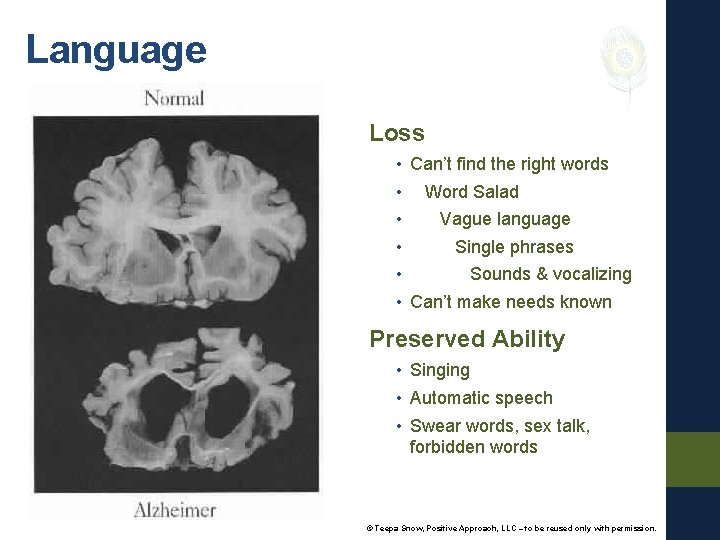Language Loss • Can’t find the right words • Word Salad • Vague language