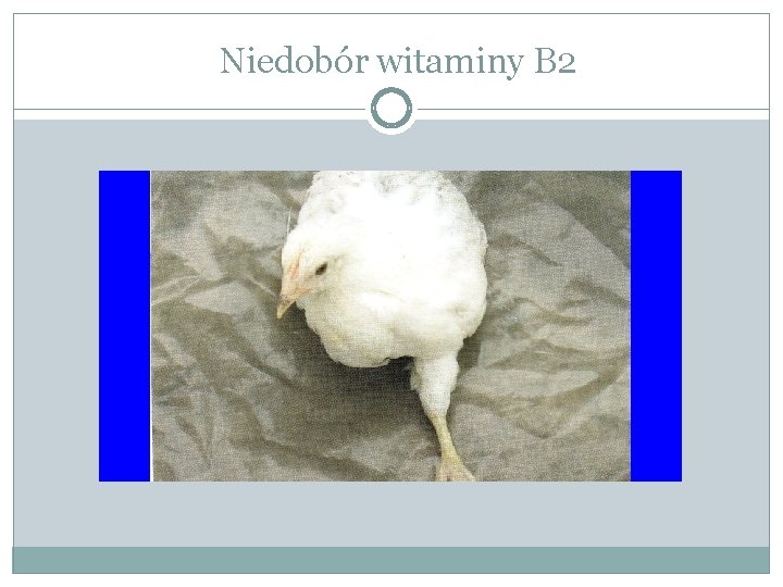 Niedobór witaminy B 2 