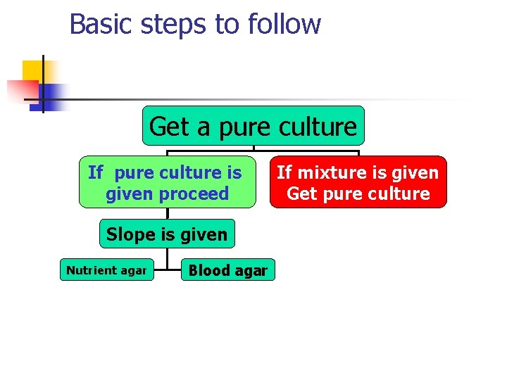 Basic steps to follow Get a pure culture If pure culture is given proceed