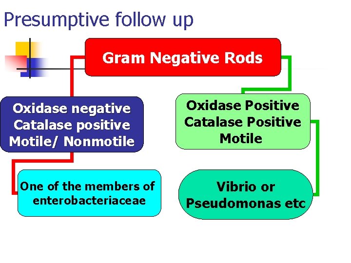Presumptive follow up Gram Negative Rods Oxidase negative Catalase positive Motile/ Nonmotile One of