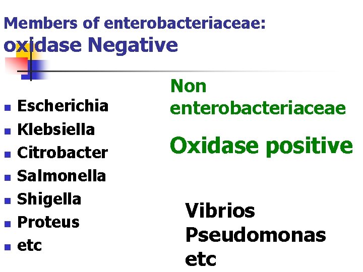 Members of enterobacteriaceae: oxidase Negative n n n n Escherichia Klebsiella Citrobacter Salmonella Shigella