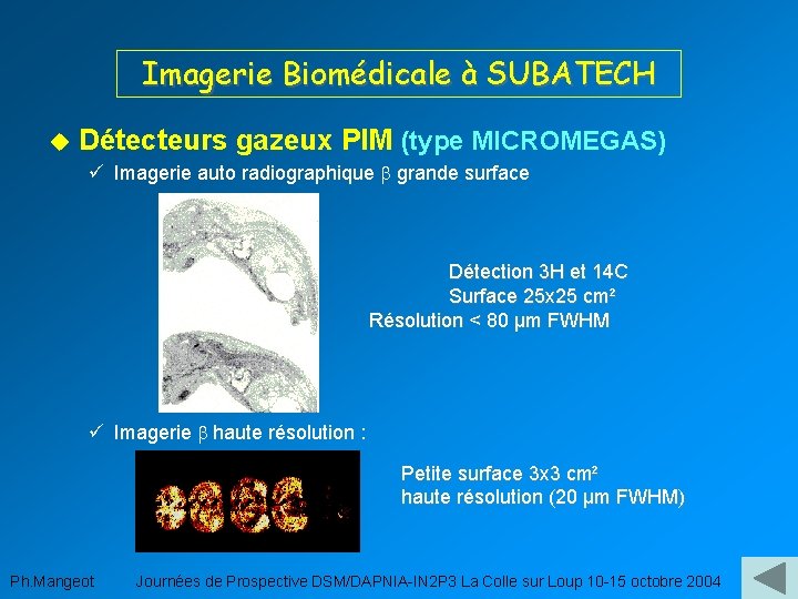 Imagerie Biomédicale à SUBATECH u Détecteurs gazeux PIM (type MICROMEGAS) ü Imagerie auto radiographique
