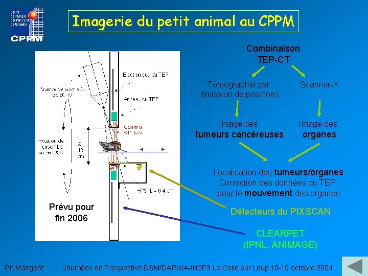 Imagerie du petit animal au CPPM Combinaison TEP-CT Tomographie par émission de positrons Scanner-X