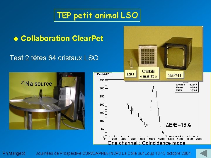 TEP petit animal LSO u Collaboration Clear. Pet Test 2 têtes 64 cristaux LSO