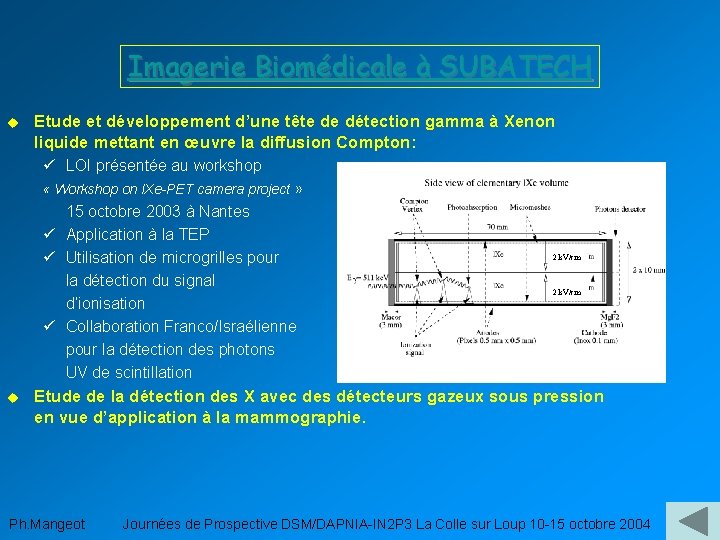 Imagerie Biomédicale à SUBATECH u Etude et développement d’une tête de détection gamma à