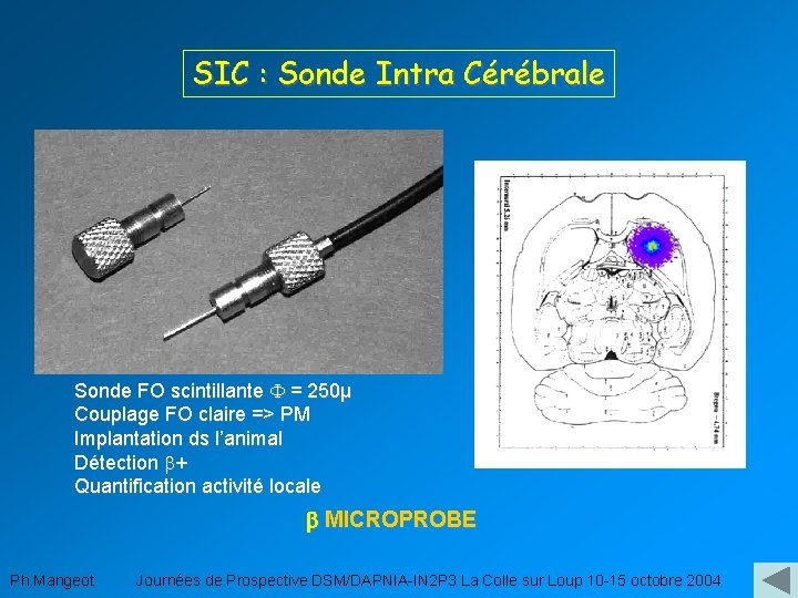 SIC : Sonde Intra Cérébrale Sonde FO scintillante F = 250µ Couplage FO claire