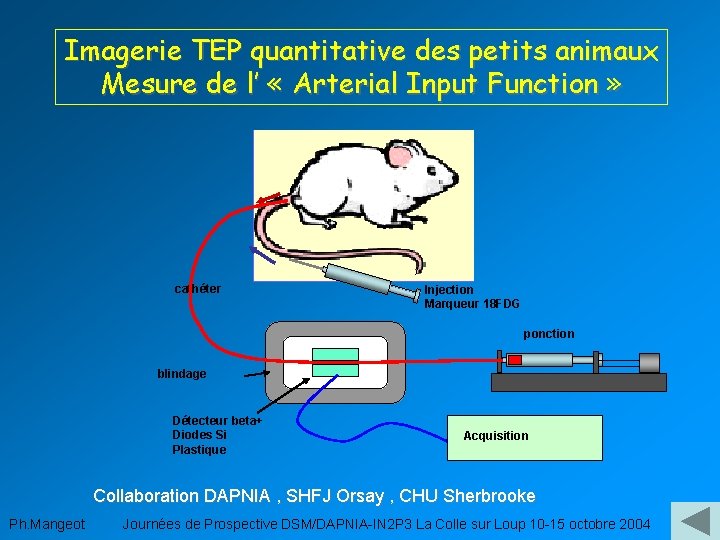 Imagerie TEP quantitative des petits animaux Mesure de l’ « Arterial Input Function »
