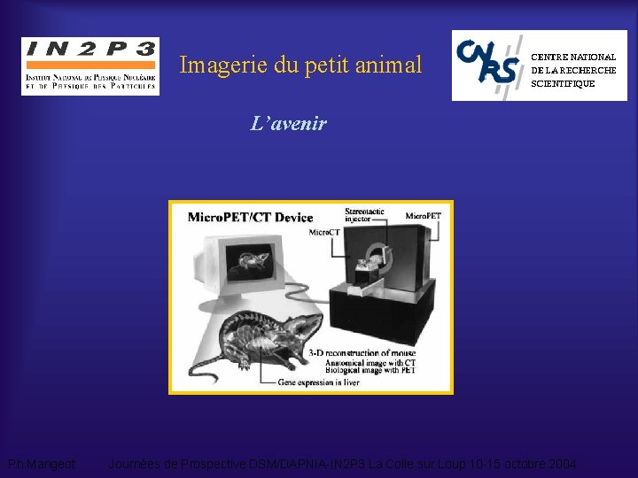 Imagerie du petit animal L’avenir Ph. Mangeot Journées de Prospective DSM/DAPNIA-IN 2 P 3