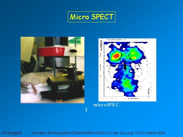 Micro SPECT T micro. SPEC Ph. Mangeot Journées de Prospective DSM/DAPNIA-IN 2 P 3