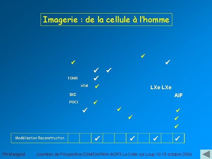 Imagerie : de la cellule à l’homme TOHR x. Tal LXe SIC AIF POCI