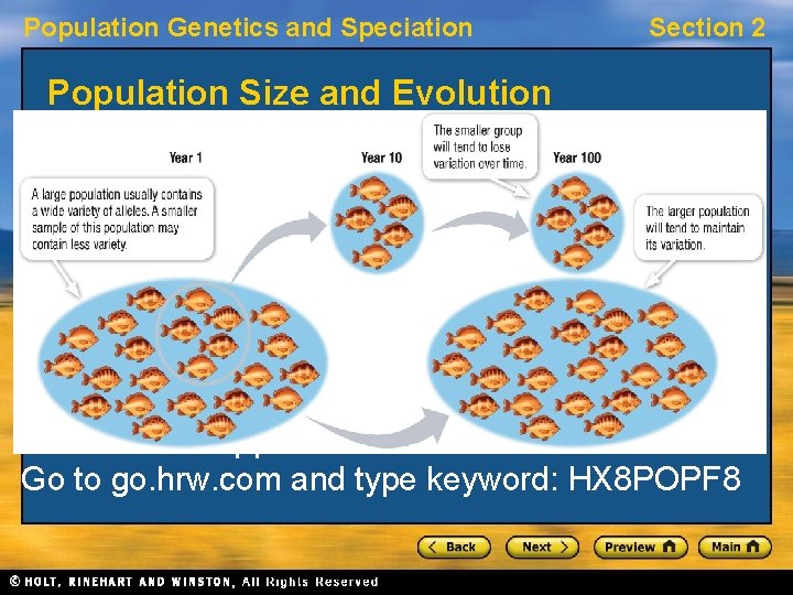 Population Genetics and Speciation Section 2 Population Size and Evolution • Population size strongly