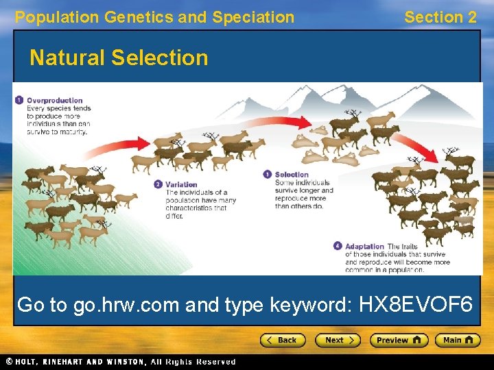 Population Genetics and Speciation Section 2 Natural Selection Go to go. hrw. com and