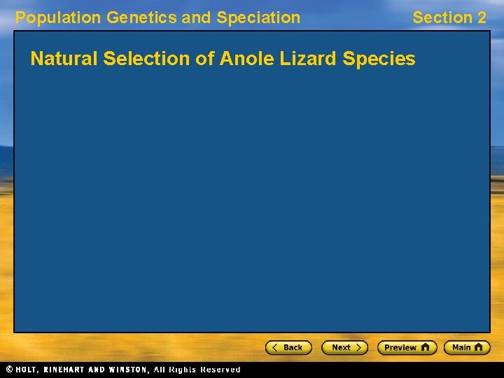 Population Genetics and Speciation Section 2 Natural Selection of Anole Lizard Species 