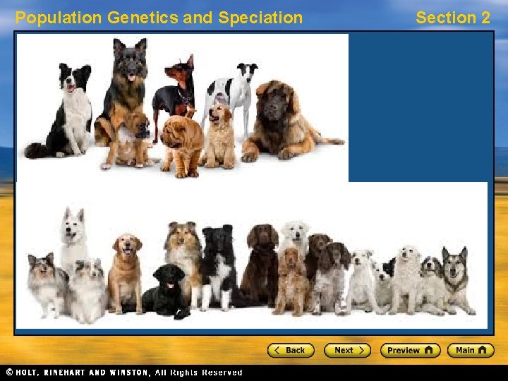 Population Genetics and Speciation Section 2 