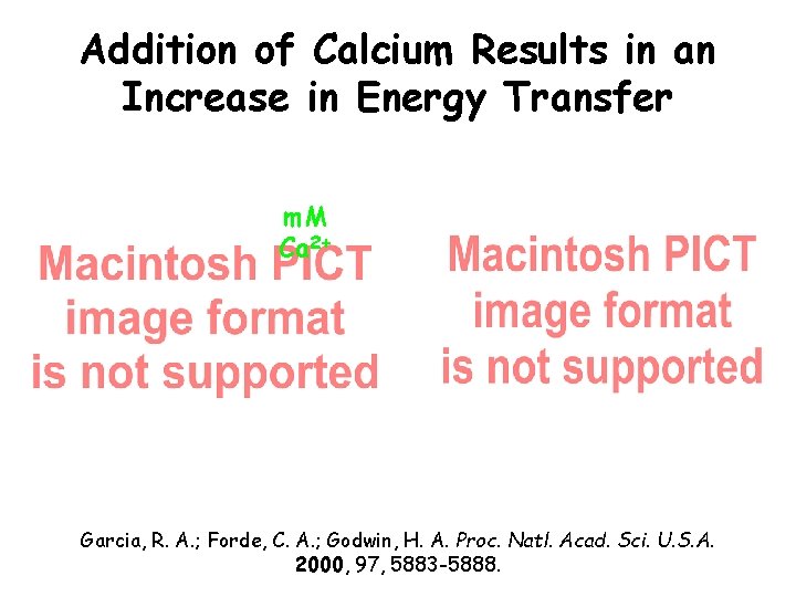 Addition of Calcium Results in an Increase in Energy Transfer apo m. M Ca