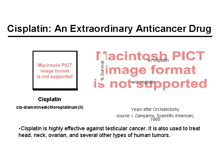 % Survival Cisplatin: An Extraordinary Anticancer Drug w/ cisplatin w/o cisplatin Cisplatin cis-diamminedichloroplatinum(II) Years