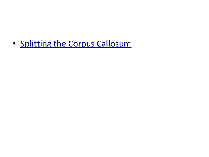  • Splitting the Corpus Callosum 