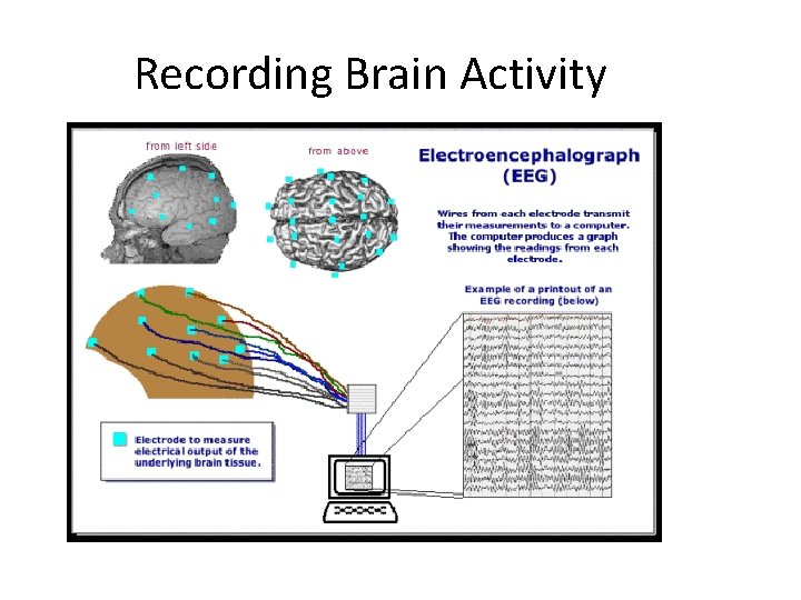 Recording Brain Activity 