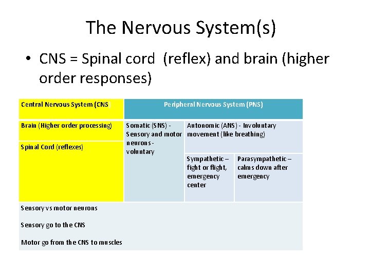 The Nervous System(s) • CNS = Spinal cord (reflex) and brain (higher order responses)