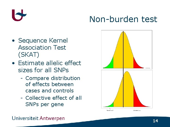 Non-burden test • Sequence Kernel Association Test (SKAT) • Estimate allelic effect sizes for