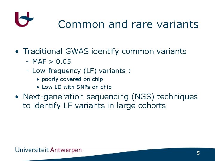Common and rare variants • Traditional GWAS identify common variants - MAF > 0.