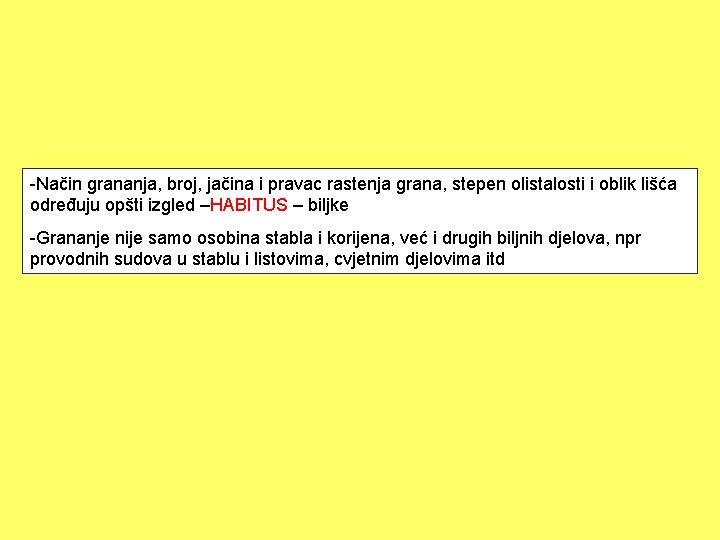 -Način grananja, broj, jačina i pravac rastenja grana, stepen olistalosti i oblik lišća određuju