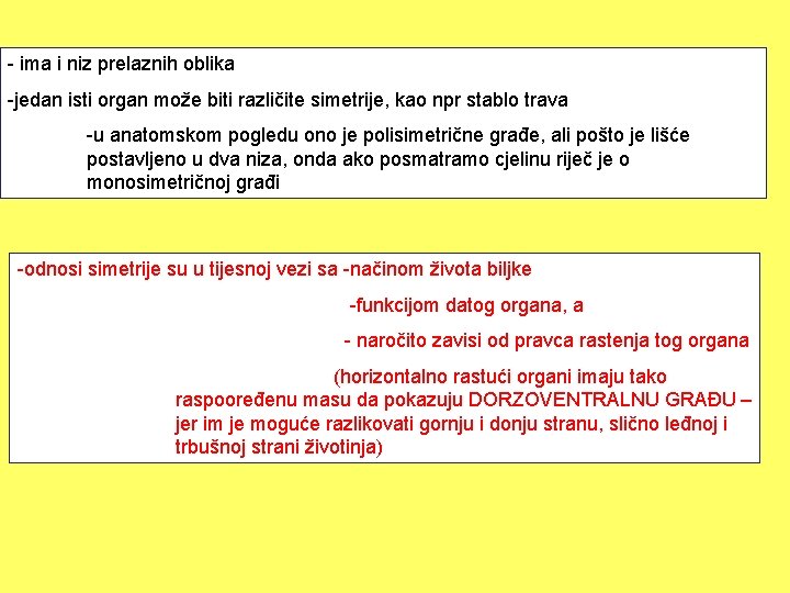 - ima i niz prelaznih oblika -jedan isti organ može biti različite simetrije, kao