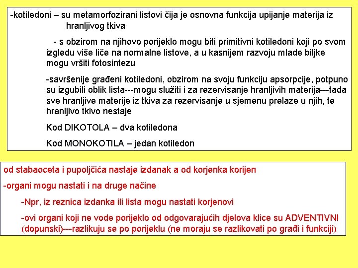 -kotiledoni – su metamorfozirani listovi čija je osnovna funkcija upijanje materija iz hranljivog tkiva