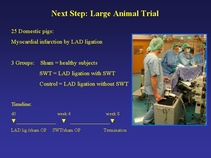 Next Step: Large Animal Trial 25 Domestic pigs: Myocardial infarction by LAD ligation 3