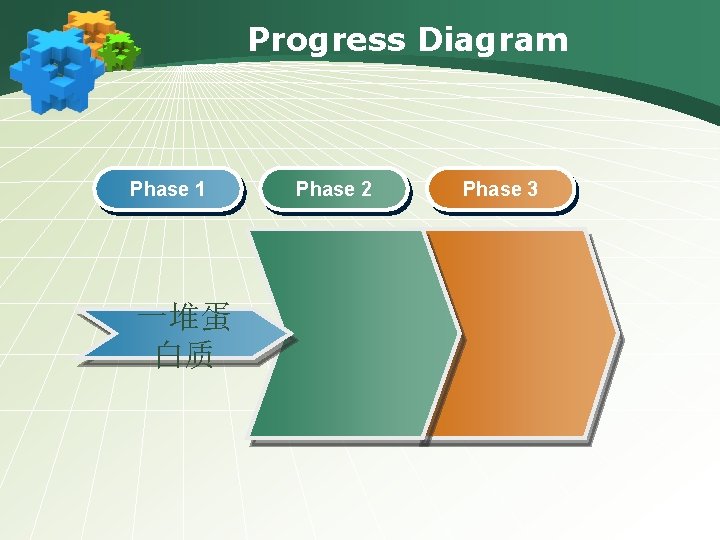 Progress Diagram Phase 1 一堆蛋 白质 Phase 2 Phase 3 