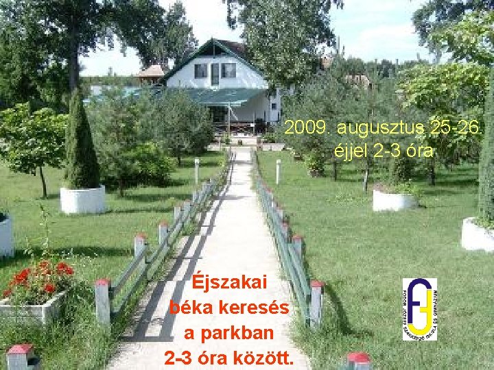 2009. augusztus 25 -26. éjjel 2 -3 óra Éjszakai béka keresés a parkban 2