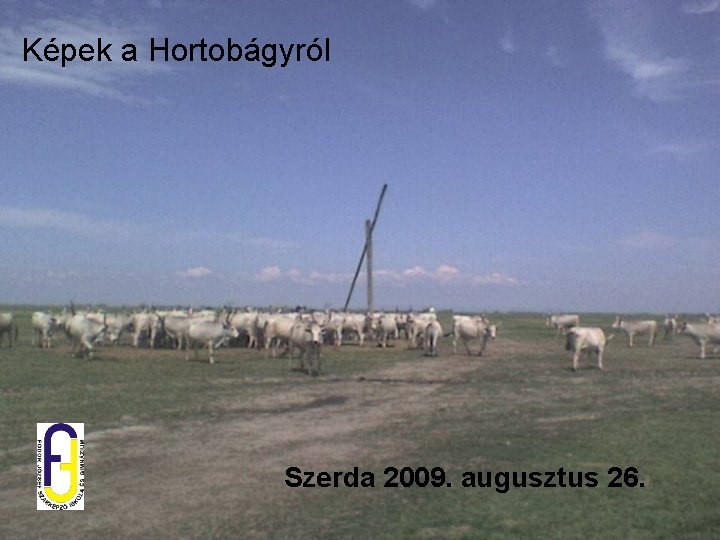 Képek a Hortobágyról Szerda 2009. augusztus 26. 