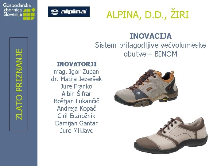 ZLATO PRIZNANJE ALPINA, D. D. , ŽIRI INOVACIJA Sistem prilagodljive večvolumeske obutve – BINOM