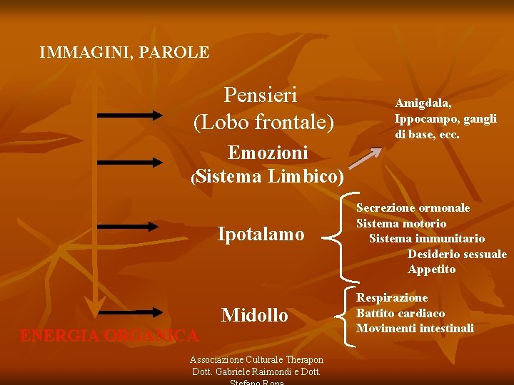 IMMAGINI, PAROLE Pensieri (Lobo frontale) Amigdala, Ippocampo, gangli di base, ecc. Emozioni (Sistema Limbico)