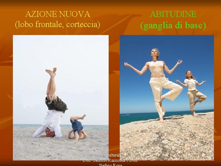 AZIONE NUOVA (lobo frontale, corteccia) Associazione Culturale Therapon Dott. Gabriele Raimondi e Dott. ABITUDINE