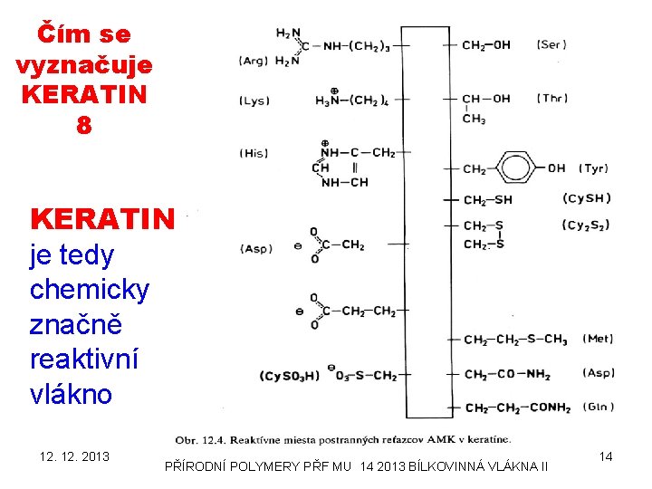 Čím se vyznačuje KERATIN 8 KERATIN je tedy chemicky značně reaktivní vlákno 12. 2013