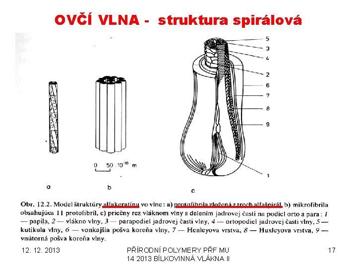 OVČÍ VLNA - struktura spirálová 12. 2013 PŘÍRODNÍ POLYMERY PŘF MU 14 2013 BÍLKOVINNÁ