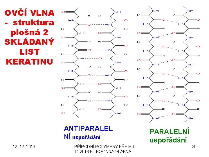 OVČÍ VLNA - struktura plošná 2 SKLÁDANÝ LIST KERATINU ANTIPARALEL NÍ uspořádání 12. 2013 OVČÍ VLNA - struktura plošná 2 SKLÁDANÝ LIST KERATINU ANTIPARALEL NÍ uspořádání 12. 2013
