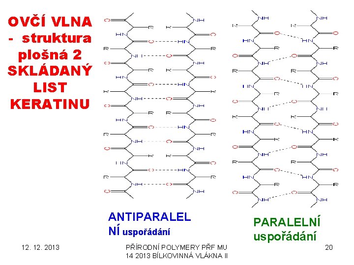 OVČÍ VLNA - struktura plošná 2 SKLÁDANÝ LIST KERATINU ANTIPARALEL NÍ uspořádání 12. 2013