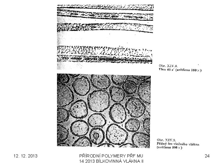 12. 2013 PŘÍRODNÍ POLYMERY PŘF MU 14 2013 BÍLKOVINNÁ VLÁKNA II 24 