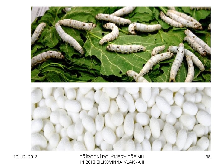 12. 2013 PŘÍRODNÍ POLYMERY PŘF MU 14 2013 BÍLKOVINNÁ VLÁKNA II 38 12. 2013 PŘÍRODNÍ POLYMERY PŘF MU 14 2013 BÍLKOVINNÁ VLÁKNA II 38