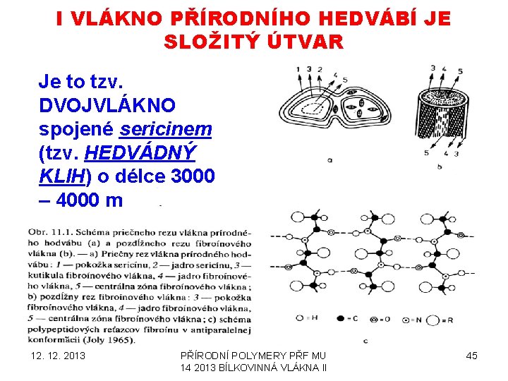 I VLÁKNO PŘÍRODNÍHO HEDVÁBÍ JE SLOŽITÝ ÚTVAR Je to tzv. DVOJVLÁKNO spojené sericinem (tzv.