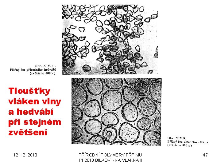 Tloušťky vláken vlny a hedvábí při stejném zvětšení 12. 2013 PŘÍRODNÍ POLYMERY PŘF MU